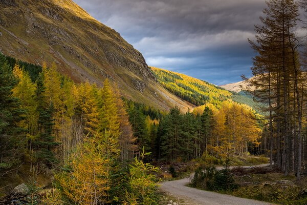 Горы в Шотландии осенью