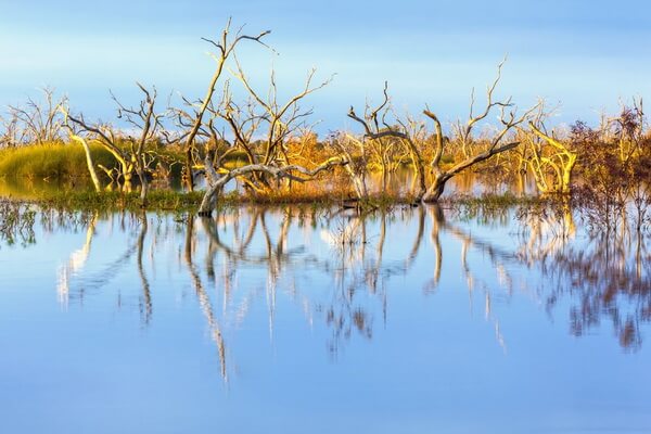 Крупнейшие озёра Австралии с фото и описанием - Менинди
