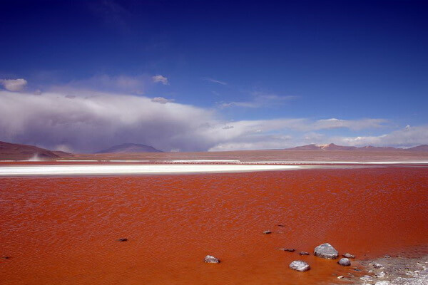 Разноцветные озёра с фото и описанием - Лагуна-Колорада в Боливии