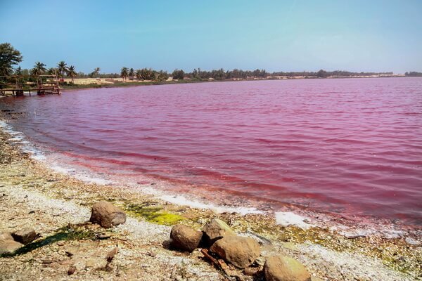 Разноцветные озёра с фото и описанием - Ретба в Сенегале