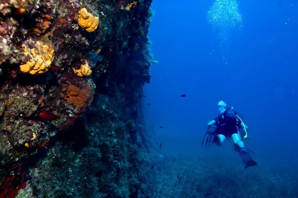 Дайвинг в Греции - Риф Мирмиги (Mirmigi Reef), Лесбос