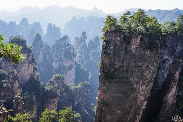 Фантастические пейзажи - Китайский лес Чжанцзяцзе