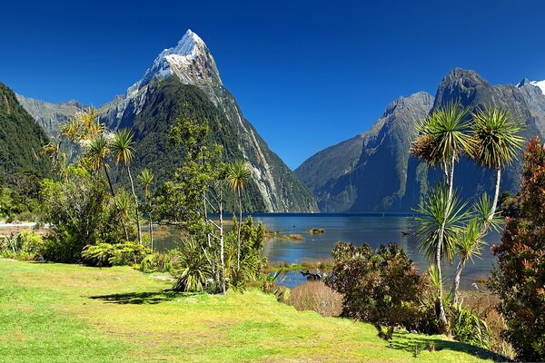 Пейзажи Фтордленд в Новой Зеландии
