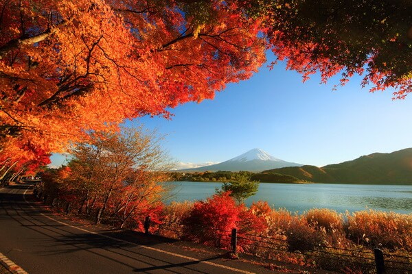 Фото горы Фудзи с озера Кавагути