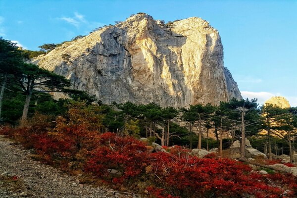 Фото горы Шаан-Кая в Крыму