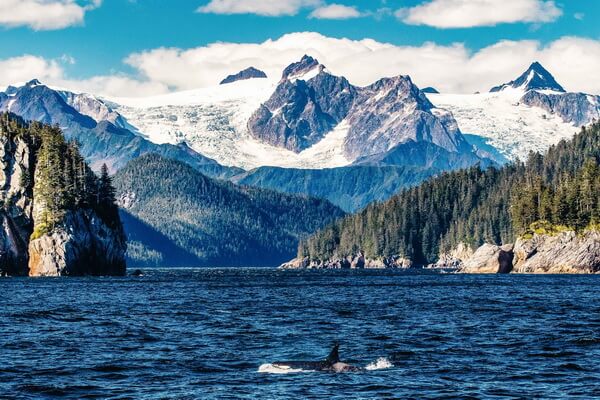 Горы Аляски с фото и описанием - Кенайские горы
