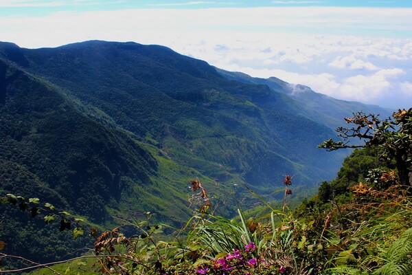 Самые высокие горы Шри-Ланки с фото и описанием - Киригалпотта