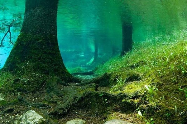 Подводный парк Зелёного озера в Австрии