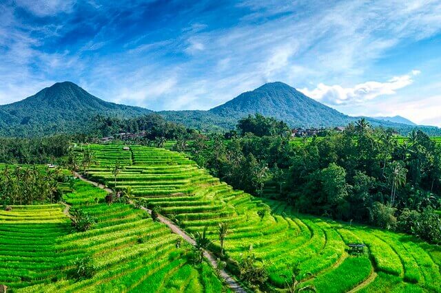 Рисовые террасы Джатилувих на Бали - описание, экскурсии, фото