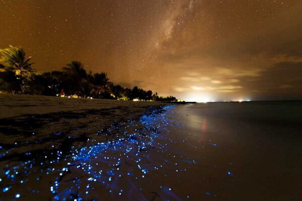 Невероятные места мира с фото - Море звёзд на Мальдивах