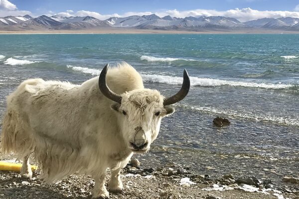Гималайское озеро Нам-Цо (Тибет)