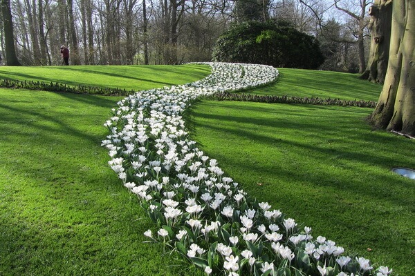 Королевский парк цветов Кёкенхоф в Нидерландах - фото и описание