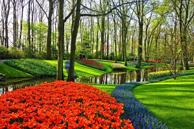 Парк Кёкенхоф в Голландии - фото, описание, интересные факты, советы туристам