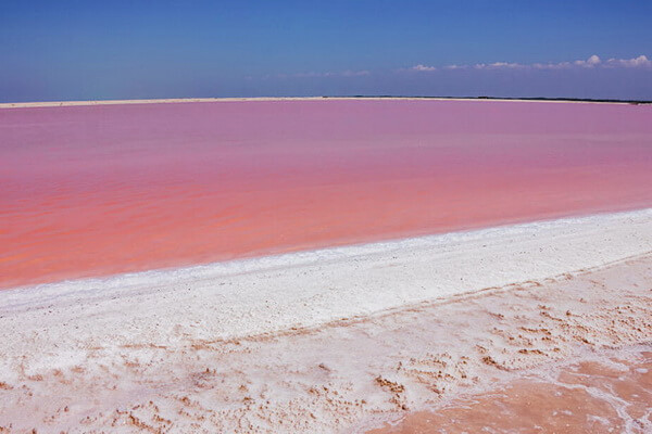 Розовое озеро Лас-Колорадас в Мексике
