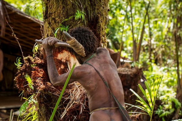 Племя короваи - быт и традиции народа Папуа-Новой Гвинеи в Индонезии