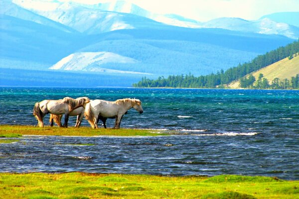 Природа Монголии - красивые фото - Озеро Хёвсёль (Khövsgöl)