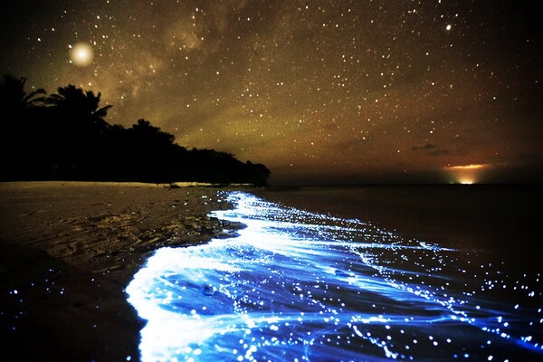 Природные феномены - Биолюминесценция на Мальдивах