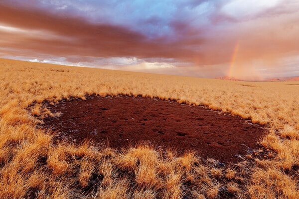 Природные феномены - Волшебные круги Намибии