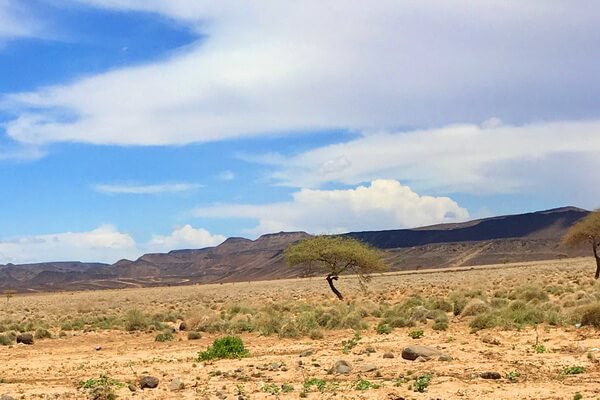 Пустыни Африки с фото и описанием - Гранд Бара