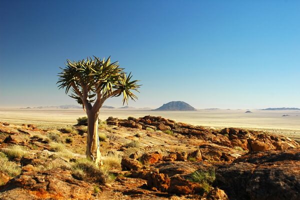 Пустыни Африки с фото и описанием - Кару или Карру 