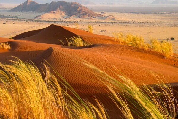 Пустыни Африки с фото и описанием - Калахари