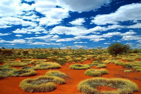 Особенности пустынь Австралии