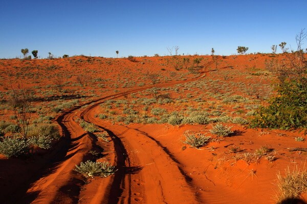 Пустыни Австралии с фото и описанием - Большая пустыня Виктория