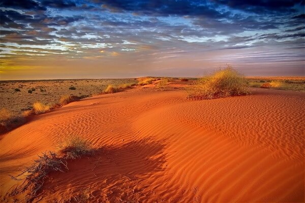Пустыни Австралии с фото и описанием - Большая Песчаная или Западная пустыня