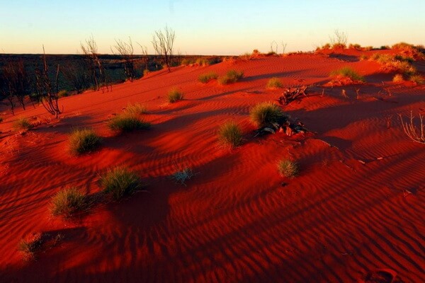 Пустыни Австралии с фото и описанием - Пустыня Гибсона