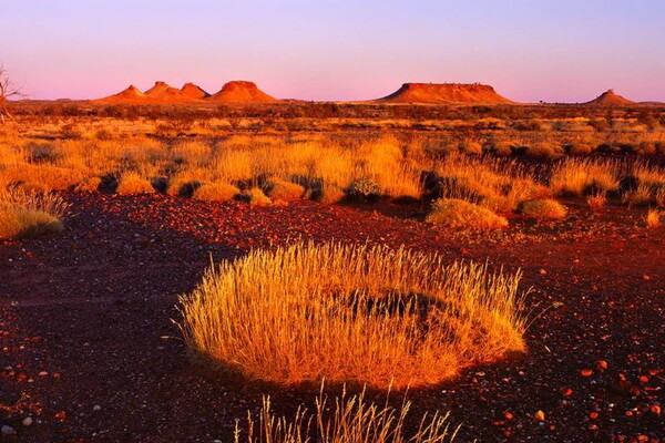 Пустыни Австралии с фото и описанием - Малая Песчаная пустыня