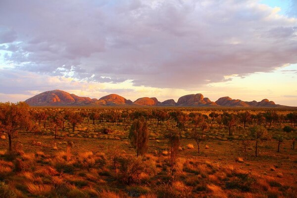 Пустыни Австралии с фото и описанием - Тирари