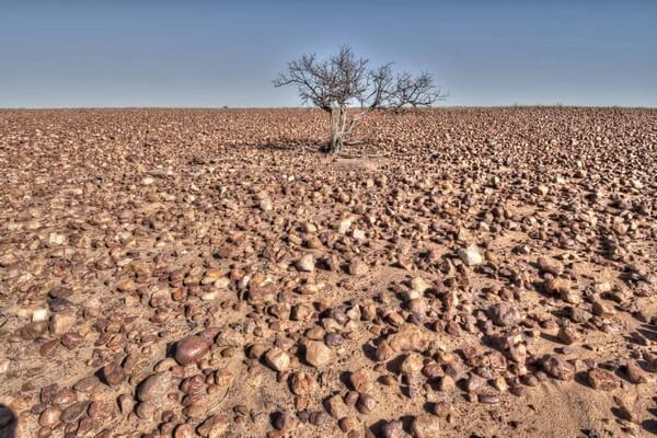 Пустыни Австралии с фото и описанием - Пустыня Стёрта 