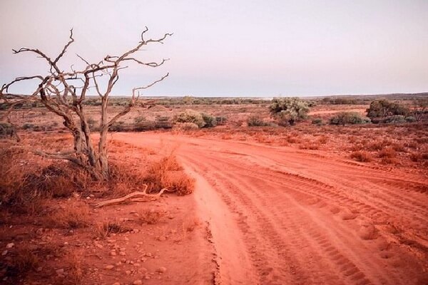 Австралийские пустыни - Педирка