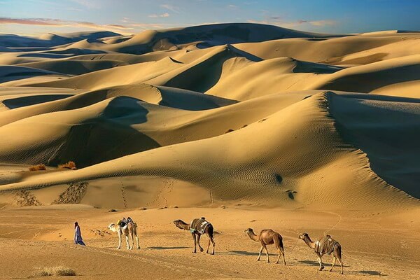 Пустыни Азии с фото и описанием - Чолистан или Рохи