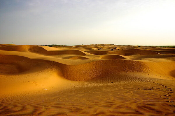 Пустыни Азии с фото и описанием - Тар