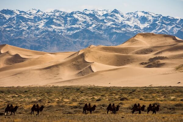 Пустыни Азии с фото и описанием - Гоби