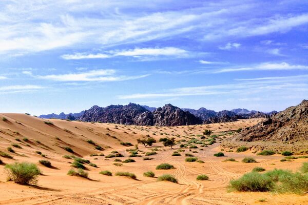 Пустыни Азии с фото и описанием - Пустыни Аравийского полуострова