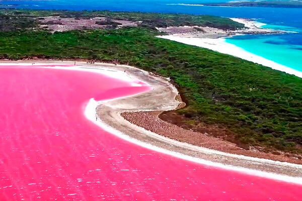 Розовые озёра мира с фото и описанием - Хиллиер, Австралия