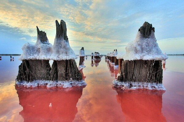 Розовые озёра мира с фото и описанием - Сиваш (Гнилое море)