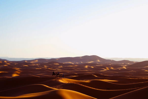 Пустыня Сахара - все интересные факты