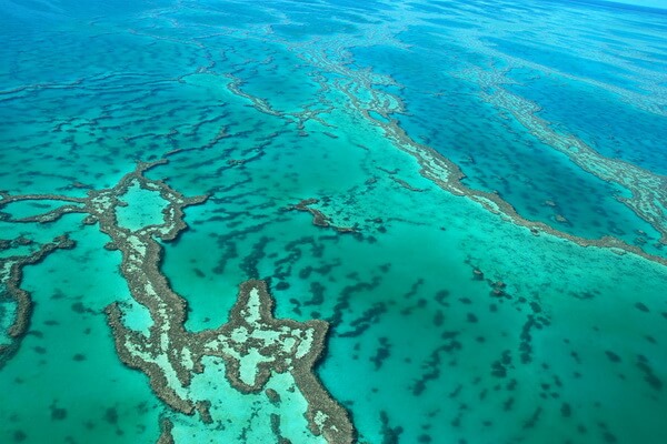 Коралловые рифы Кораллового моря и экология