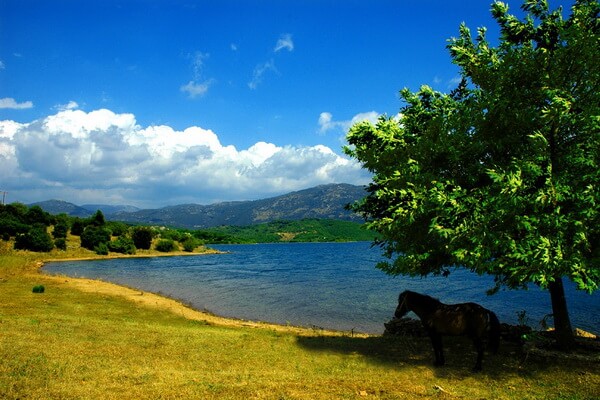На велосипедах по Греции - лучшие веломаршруты - Озеро Ладонас